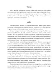 Bendroji užsienio ir saugumo politika arba BUSP 3 puslapis