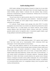 Bendroji užsienio ir saugumo politika arba BUSP 8 puslapis