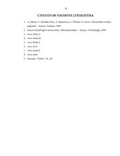 Bendrojo vidaus produkto dinamika Lietuvoje 18 puslapis