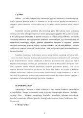 Bioetika ir eutanazija 2 puslapis