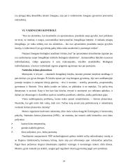 Bioetika ir eutanazija 14 puslapis