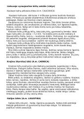 Bitės, pagrindinė informacija apie bites 7 puslapis