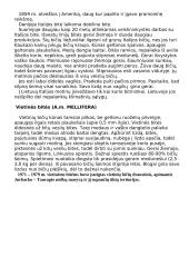 Bitės, pagrindinė informacija apie bites 8 puslapis