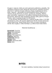 Bičių sandara ir savybės 2 puslapis