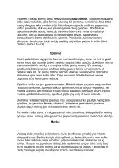 Bičių sandara ir savybės 4 puslapis