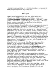 Bičių sandara ir savybės 6 puslapis