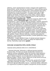 Bičių sandara ir savybės 7 puslapis