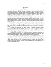 Biudžeto balansavimo svarba 2 puslapis