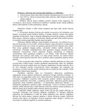 Biudžeto balansavimo svarba 18 puslapis