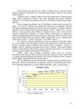 Biudžeto balansavimo svarba 19 puslapis