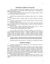 Biudžeto balansavimo svarba 3 puslapis