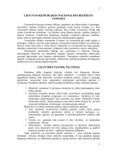 Biudžeto balansavimo svarba 6 puslapis