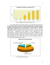 Biudžeto balansavimo svarba 8 puslapis