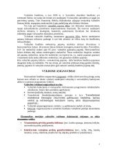 Biudžeto balansavimo svarba 9 puslapis