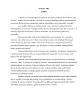 Biudžeto deficitas bei valstybės skola 2 puslapis