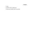 Biudžeto deficitas bei valstybės skola 12 puslapis