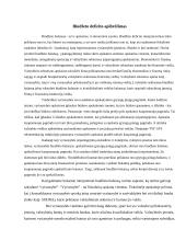 Biudžeto deficitas bei valstybės skola 3 puslapis