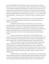 Biudžeto deficitas bei valstybės skola 4 puslapis