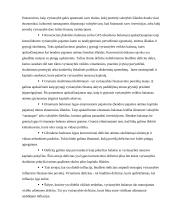 Biudžeto deficitas bei valstybės skola 5 puslapis