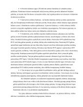 Biudžeto deficitas bei valstybės skola 6 puslapis