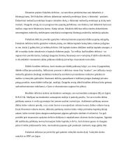 Biudžeto deficitas bei valstybės skola 9 puslapis