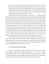 Valstybės skolos ir biudžeto deficito įtaka Lietuvos ekonomikai 15 puslapis