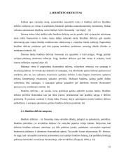 Valstybės skolos ir biudžeto deficito įtaka Lietuvos ekonomikai 17 puslapis