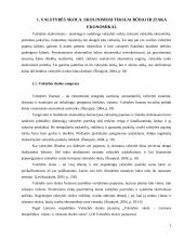 Valstybės skolos ir biudžeto deficito įtaka Lietuvos ekonomikai 3 puslapis