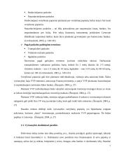 Valstybės skolos ir biudžeto deficito įtaka Lietuvos ekonomikai 8 puslapis