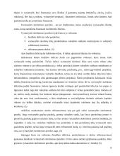 Valstybės skolos ir biudžeto deficito įtaka Lietuvos ekonomikai 9 puslapis