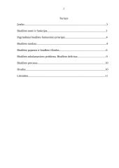 Biudžeto esmė, sudarymo principai, sandara 2 puslapis