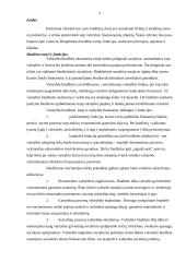 Biudžeto esmė, sudarymo principai, sandara 3 puslapis