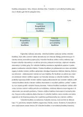 Biudžeto esmė, sudarymo principai, sandara 5 puslapis