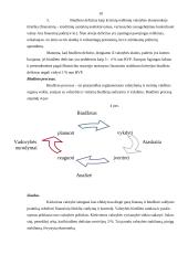 Biudžeto esmė, sudarymo principai, sandara 10 puslapis