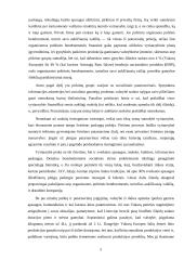 Biudžeto politika 2 puslapis