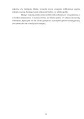 Biudžeto politika 12 puslapis