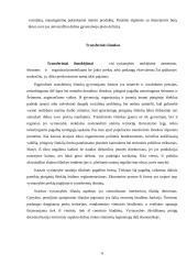 Biudžeto politika 3 puslapis