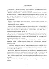 Biudžeto politika 4 puslapis