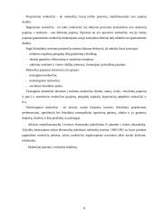 Biudžeto politika 5 puslapis