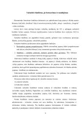 Biudžeto politika 6 puslapis