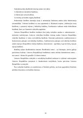 Biudžeto politika 7 puslapis