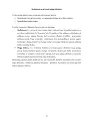 Biudžeto politika 10 puslapis
