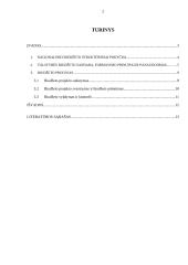 Lietuvos Respublikos biudžeto sistemos reforma 2 puslapis