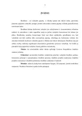 Lietuvos Respublikos biudžeto sistemos reforma 3 puslapis