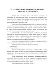 Lietuvos Respublikos biudžeto sistemos reforma 5 puslapis