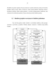 Lietuvos Respublikos biudžeto sistemos reforma 10 puslapis