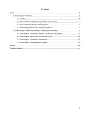 Biurokratijos vaidmuo modernioje visuomenėje 2 puslapis