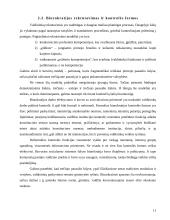 Biurokratijos vaidmuo modernioje visuomenėje 11 puslapis