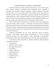 Biurokratijos vaidmuo modernioje visuomenėje 12 puslapis