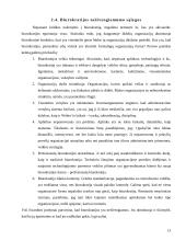 Biurokratijos vaidmuo modernioje visuomenėje 13 puslapis